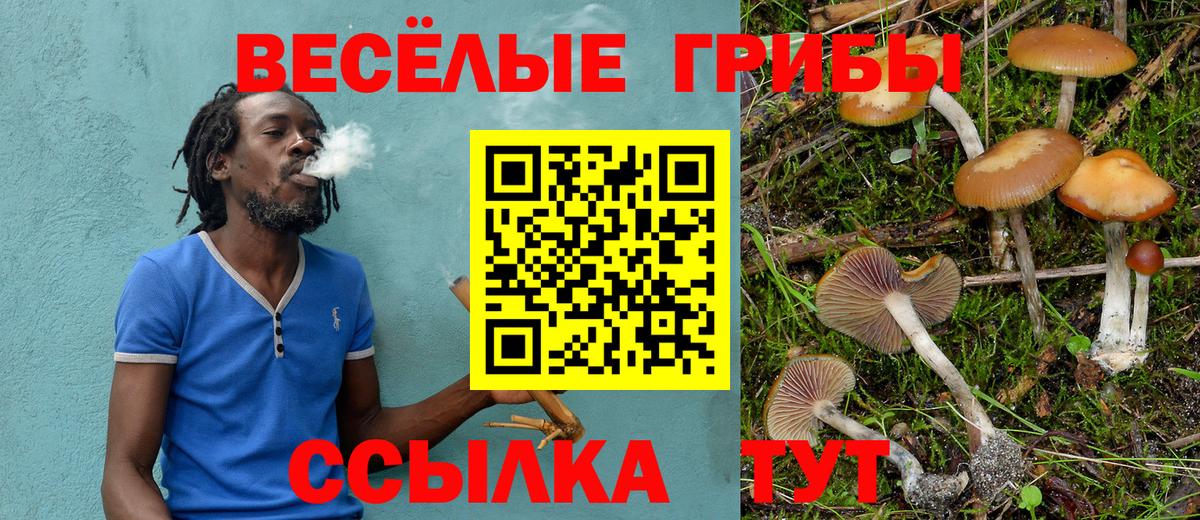 Белгород  Галлюциногенные грибы мухоморы  Вход с VPN 